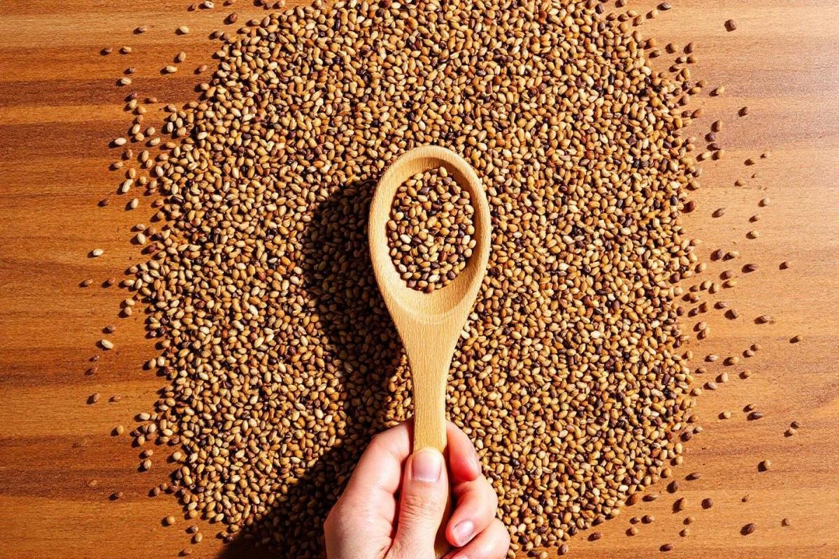 Quelle quantité de graines par jour pour maigrir ?